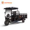 Triciclo di carico elettrico C-HA180QP