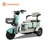 Triciclo per il tempo libero elettrico V3