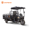 Triciclo di carico elettrico C-HA180QP
