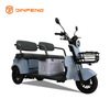 Triciclo per il tempo libero elettrico N8