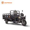 Triciclo di carico elettrico C-HA180QP