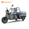 Triciclo cargo elettrico C-ZJ150