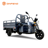 Triciclo cargo elettrico C-ZJ150