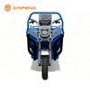 Triciclo da carico elettrico JG160