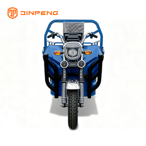 Triciclo da carico elettrico JG160