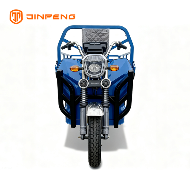 Triciclo da carico elettrico JG160