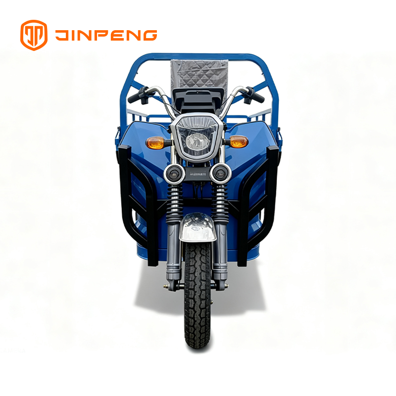 Triciclo da carico elettrico JG160