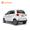Auto elettrica a bassa velocità RG