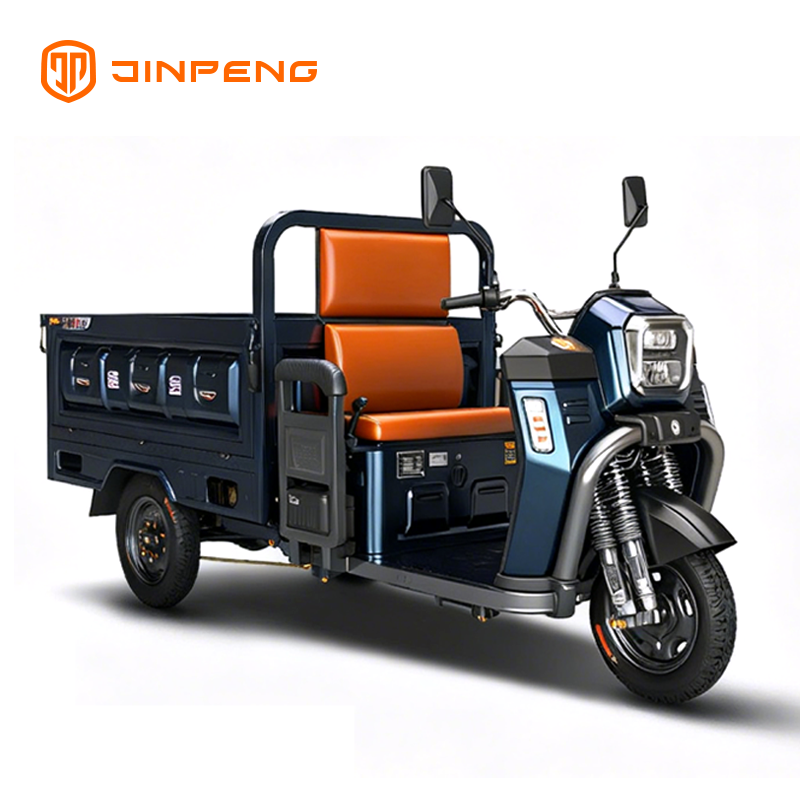 Triciclo da carico elettrico JW160