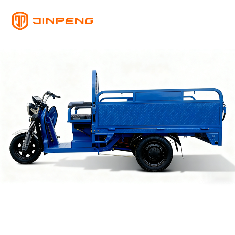 Triciclo da carico elettrico JG160